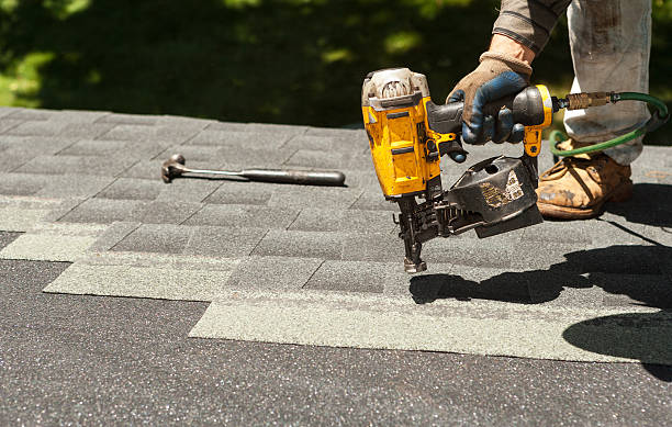 Best Roof Moss and Algae Removal  in Fort Hood, TX